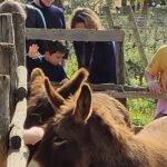 Gli Animali photo review
