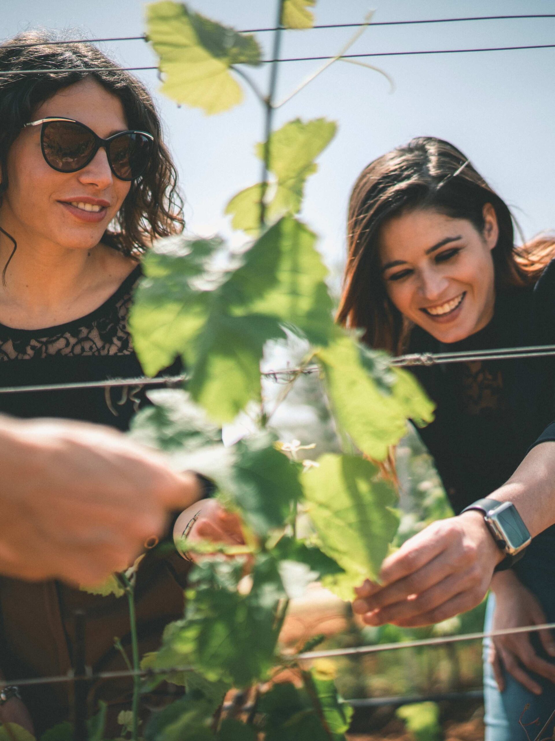Foto di due ragazze in vigna da Augustali