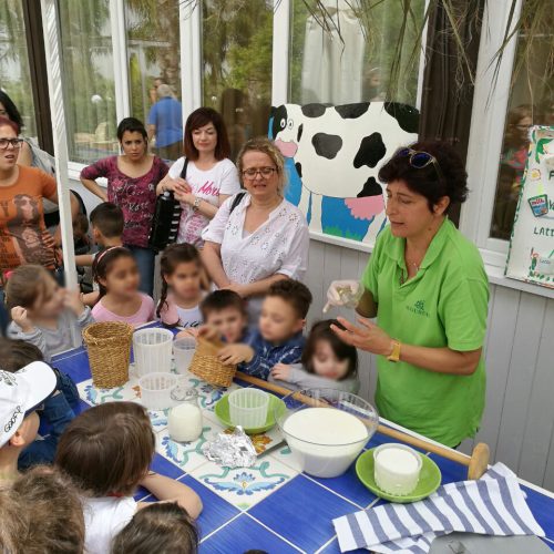 vialattea_fattoria_augustali3