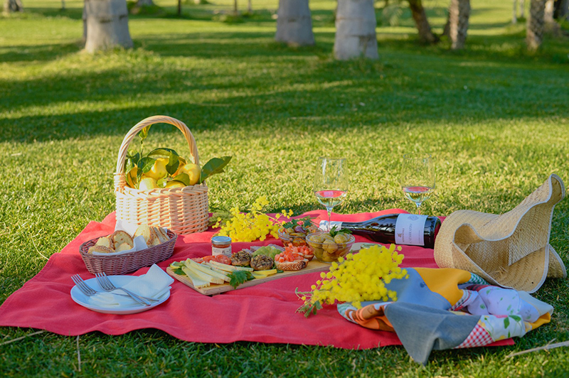 fattoria augustali turismo pic-nic (3)