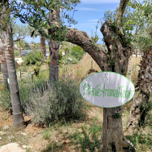augustali giardino